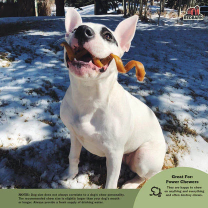 Redbarn Bully Spring Dog Chew - 1pc