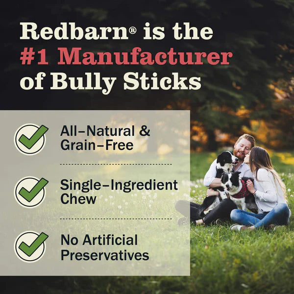Redbarn Bully Stick Dog - 12in - 1pc