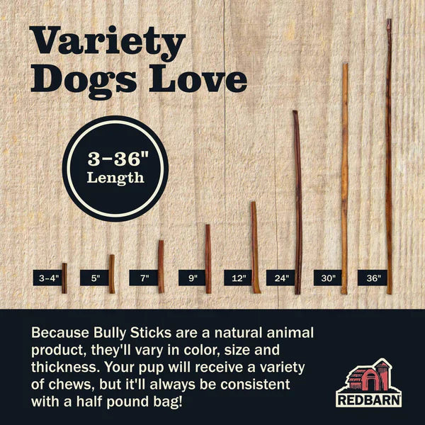 Redbarn Bully Stick Dog - 24in - 1pc