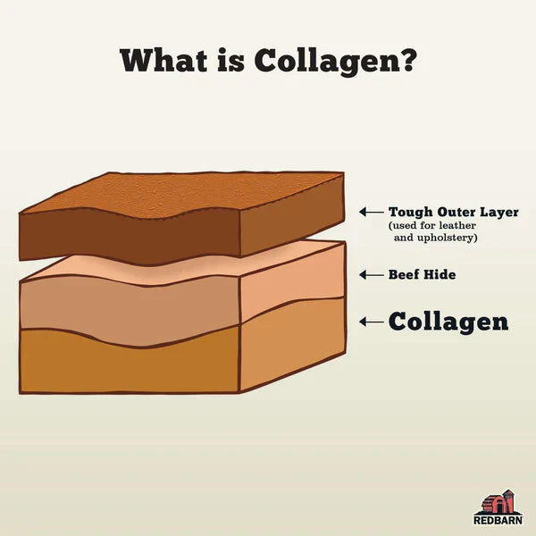 Redbarn Collagen Braid - Large - 1pc