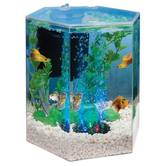 Tetra 1 Gallon Hexagon ColorFusion Starter Kit