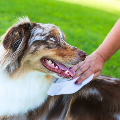 earthbath Puppy Wipes - 100 Wipes - The Pet Source