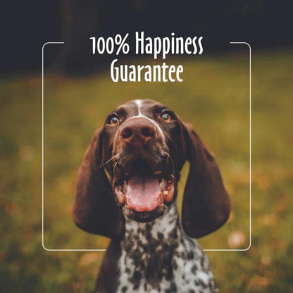 earthbath Puppy Wipes - 100 Wipes - The Pet Source