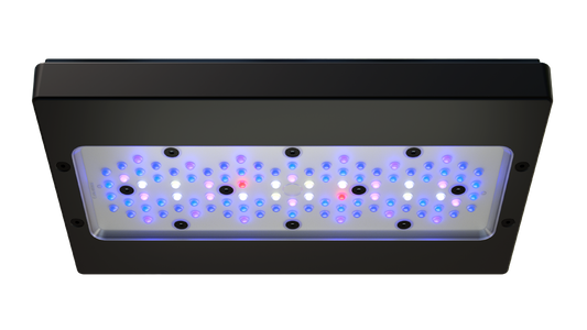 EcoTech Marine Radion XR30 Blue G6 Fixture - 205W