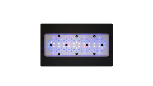 EcoTech Marine Radion XR30 Blue G6 Fixture - 205W