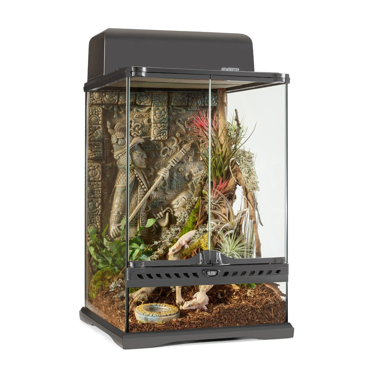 Exo Terra Aztec Terrarium - Mini-Tall - 30 x 30 x 45 cm (12 x 12 x 18 in)