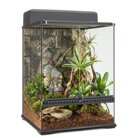 Exo Terra Aztec Terrarium - Small-Tall - 45 x 45 x 60 cm (18 x 18 x 24 in)