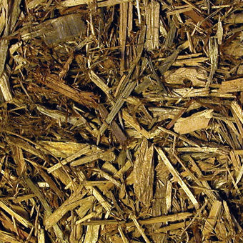 Zoo Med Forest Floor Bedding - 24 qt
