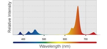 Kessil LED Grow Light H80 Tuna Flora