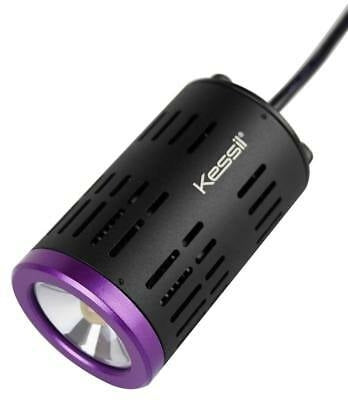 Kessil H160 Tuna Flora LED Light