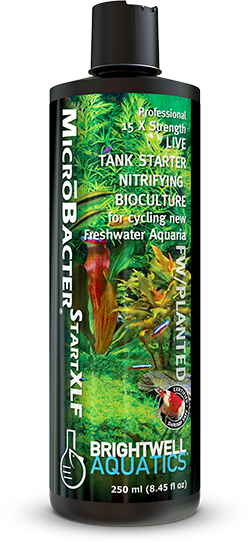 Brightwell Aquatics MicroBacter Start XLF - 250ml