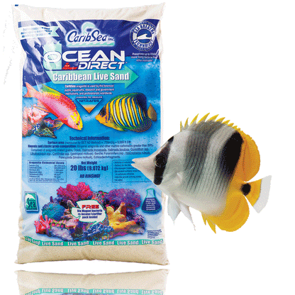 CaribSea Ocean Direct Live Sand Original Grade - 20lb
