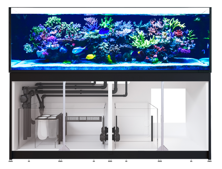 Red Sea Reefer 3XL 900 G2+ Black