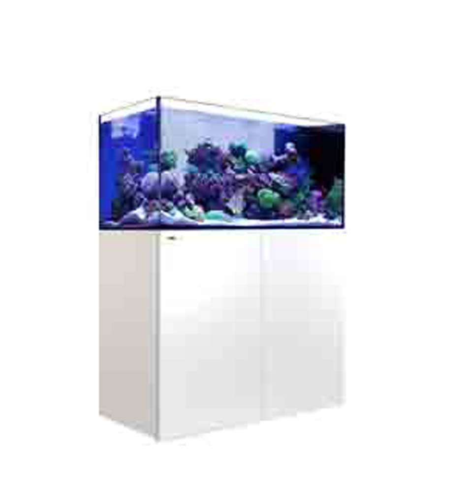 Red Sea REEFER Peninsula 500 White