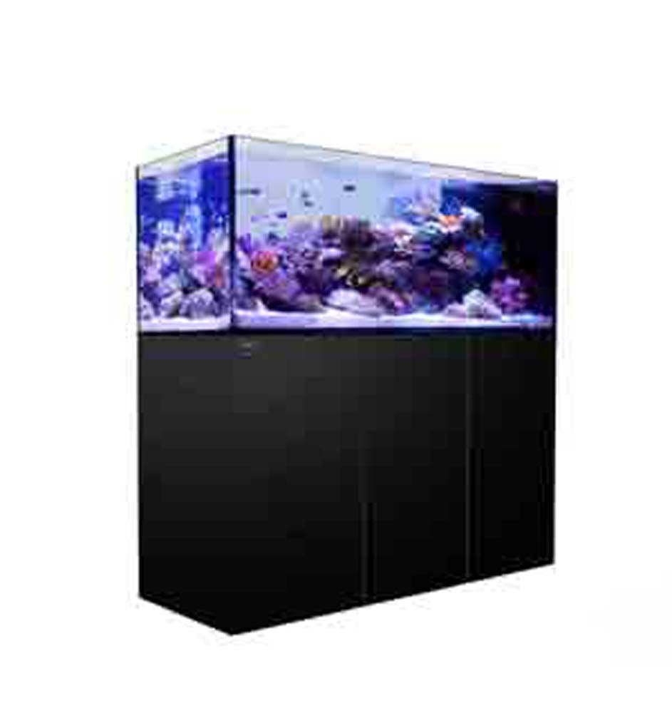 Red Sea REEFER Peninsula 650 Black