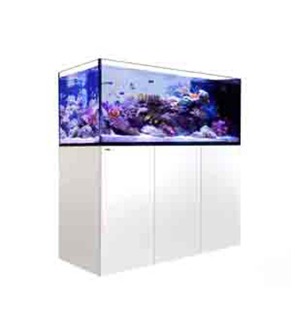 Red Sea REEFER Peninsula 650 White