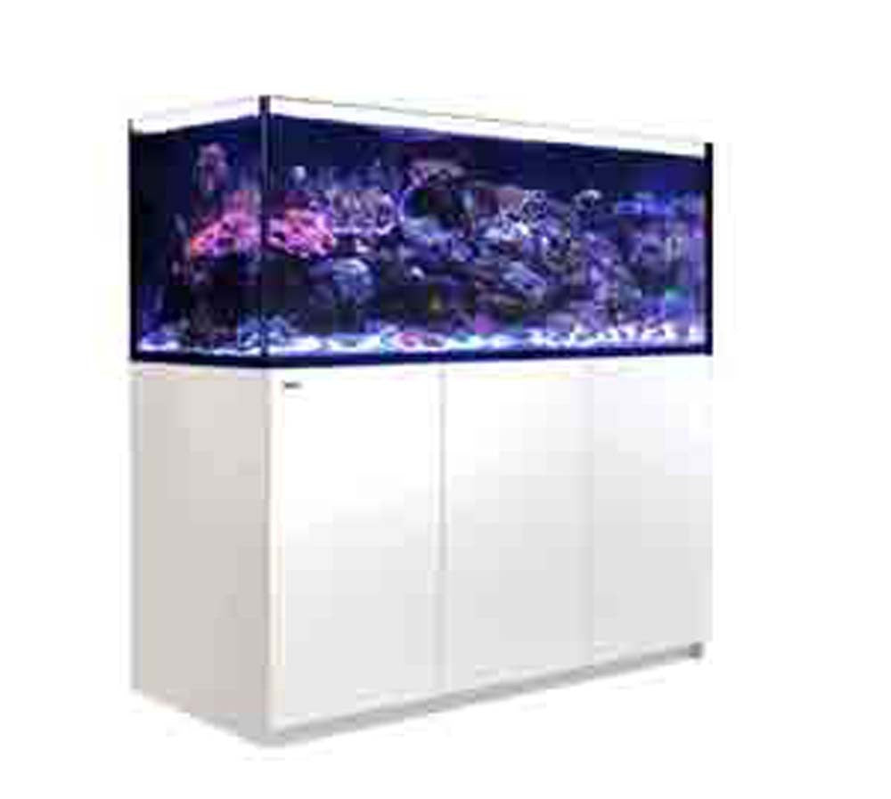 Red Sea REEFER G2 XXL 625 G2+ White