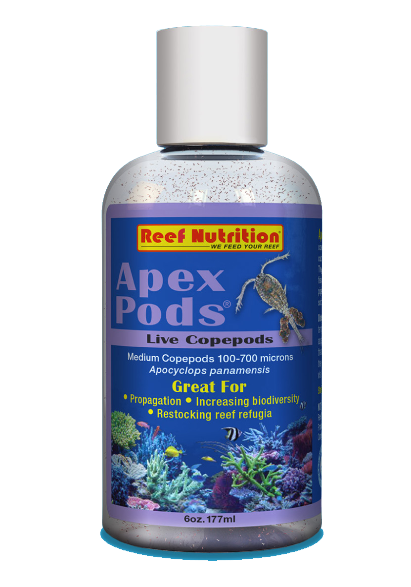 Reef Nutrition Apex-Pods ‐ Live Apocyclops panamensis copepods - 6oz