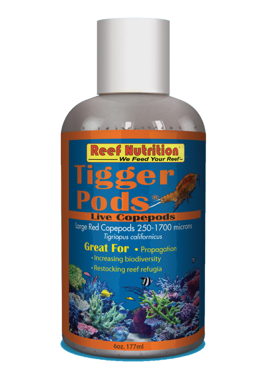 Reef Nutrition Tigger-Pods - Live Tigriopus californicus copepods - 6oz
