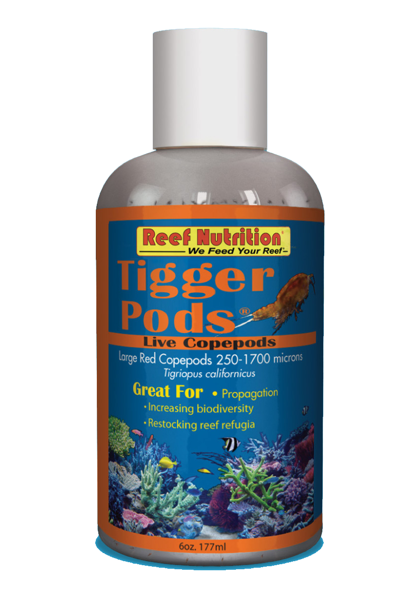 Reef Nutrition Tigger-Pods - Live Tigriopus californicus copepods - 6oz