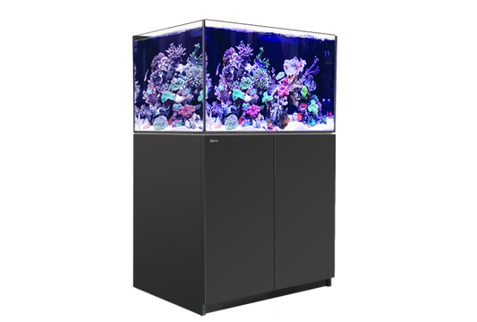Red Sea Reefer XL 300 G2+ Black