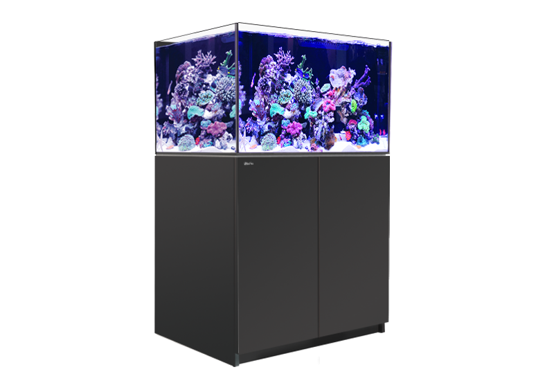 Red Sea Reefer XL 300 G2+ Black