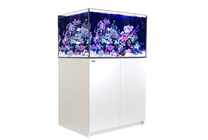 Red Sea Reefer XL 300 G2+ White