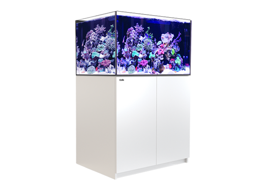 Red Sea Reefer XL 300 G2+ White
