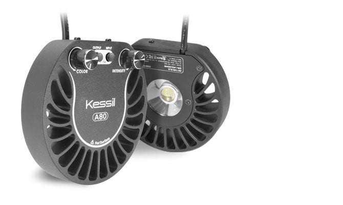 Kessil A80 Tuna Blue LED Light