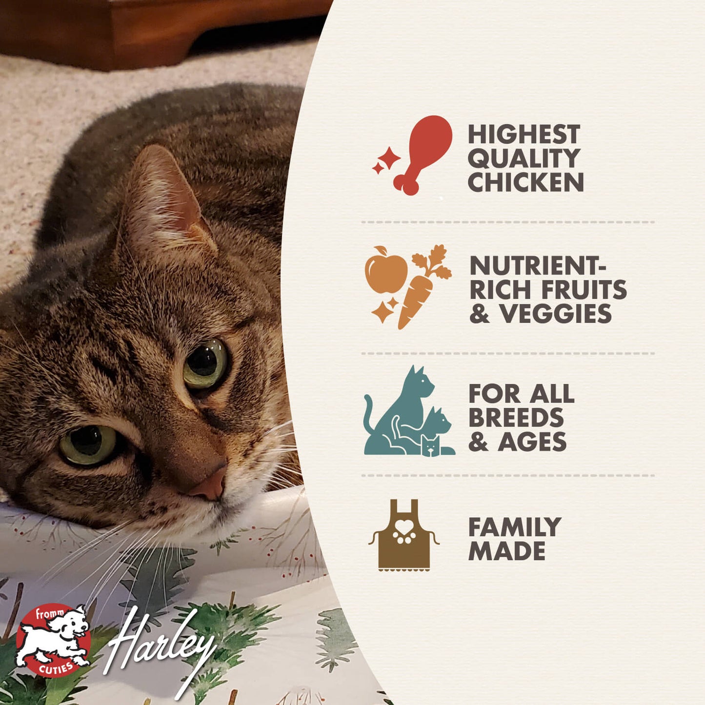 Fromm Chicken À La Veg Recipe Dry Cat Food - 4.54kg
