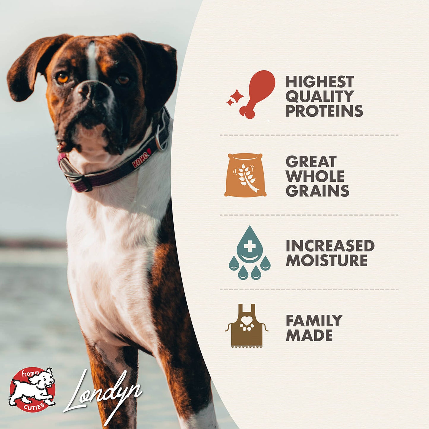 Fromm Turkey, Duck, & Sweet Potato Pâté Wet Dog Food - 12.2oz