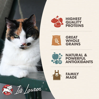 Fromm Adult Gold Dry Cat Food - 4.5kg