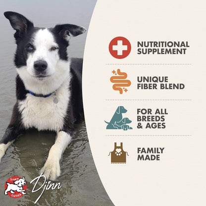 Fromm Nutritionals Whitefish Formula Wet Dog Food - 12.2oz