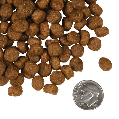 Fromm Four Star Nutritionals Salmon À La Veg Recipe Dry Dog Food - 5.4kg
