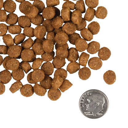 Fromm Puppy Gold Dry Dog Food - 6.8kg